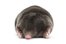 mole