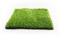 turf
