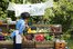 el mercado al aire libre