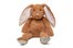 el peluche