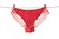 panty