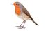 robin