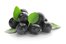 acai berry