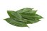 la hoja de laurel