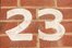 twenty-three