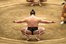 el sumo