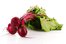 beet