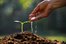 grow