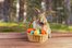 Easter bunny