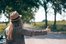 hitchhike