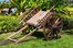 cart