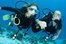 el buceo