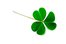 shamrock