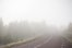 la niebla