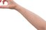 el brazo