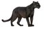 panther