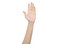 raise your hand