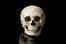 la calavera