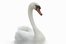 el cisne