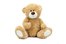 el oso de peluche