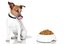 dar de comer al perro
