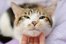 purr