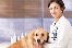 veterinarian
