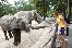 zoo