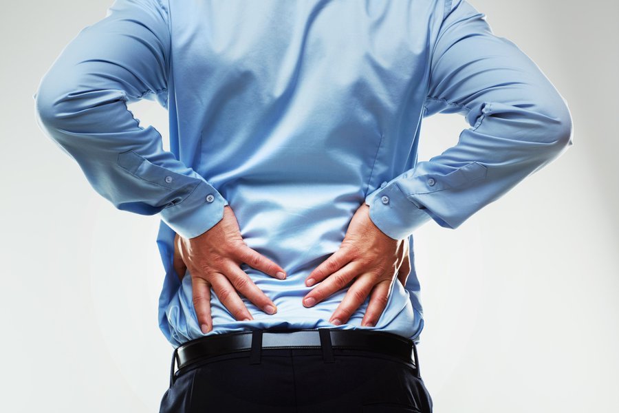 Lower back in Spanish English to Spanish Translation