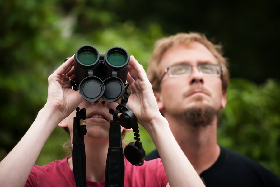 Look out for in Spanish English to Spanish Translation