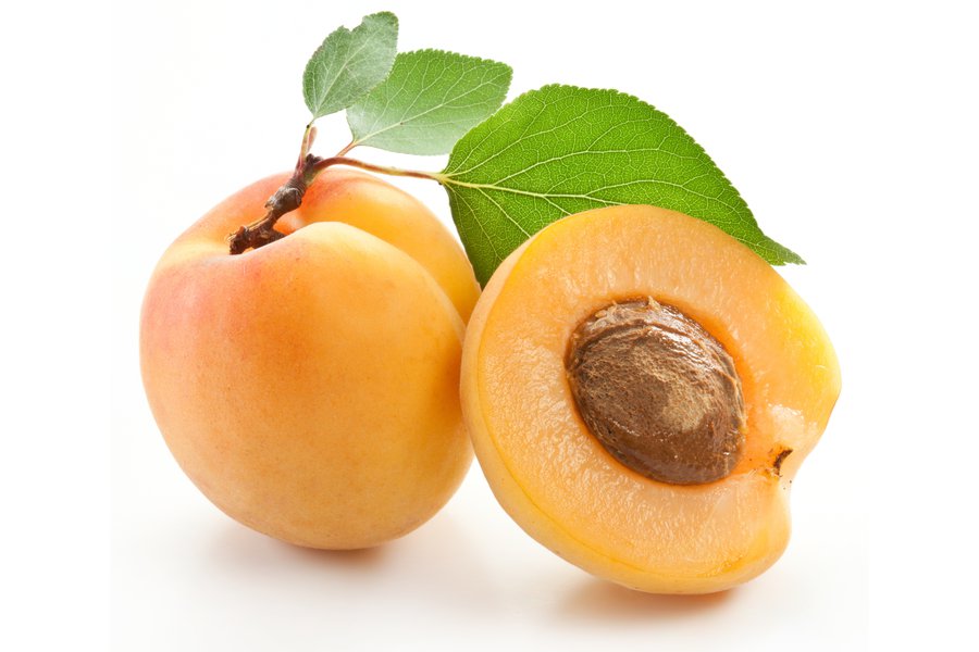 El albaricoque Spanish to English Translation