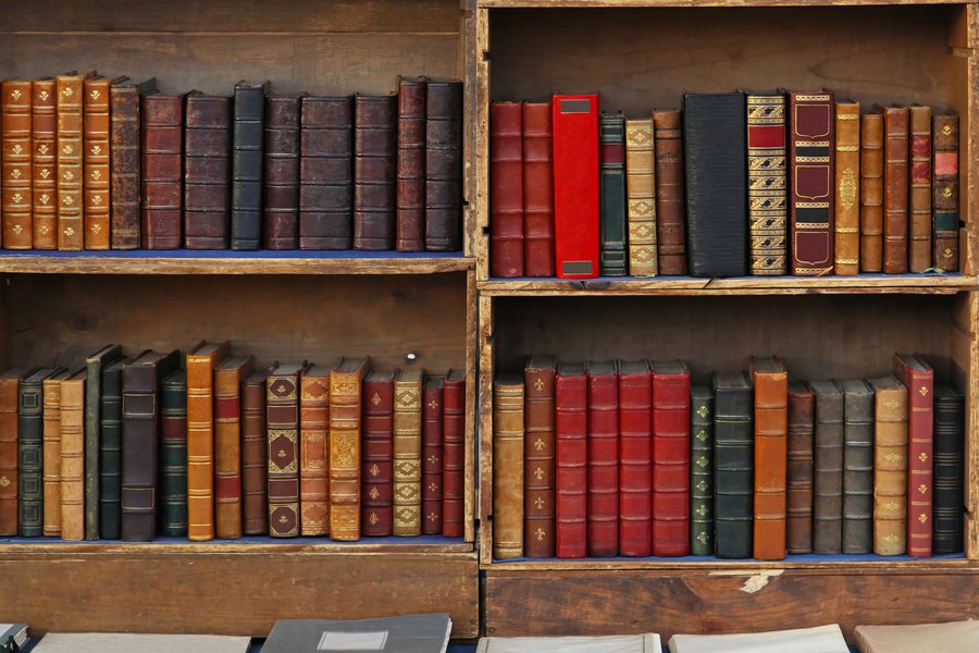 Bookcase in Spanish English to Spanish Translation