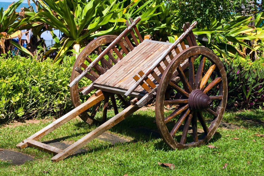 Cart in Spanish English to Spanish Translation