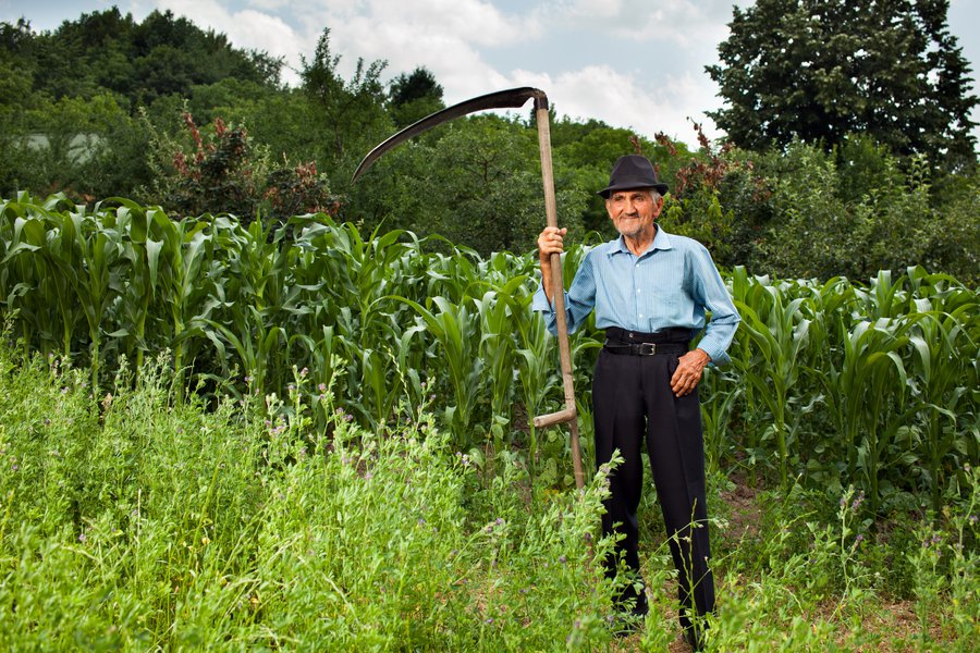 La campesina Spanish to English Translation