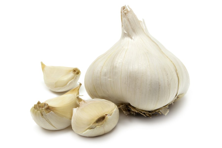 Garlic in Spanish English to Spanish Translation