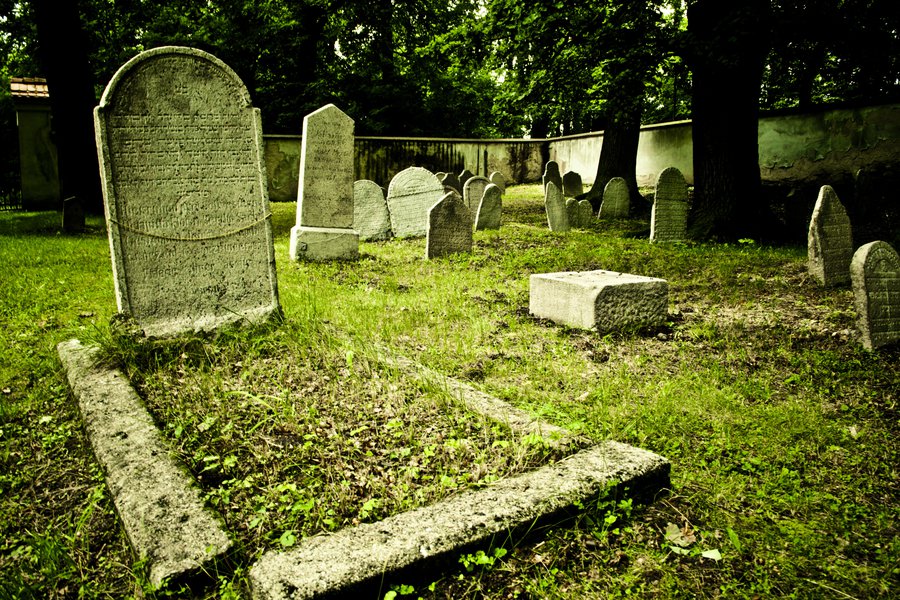 Tumba Spanish to English Translation