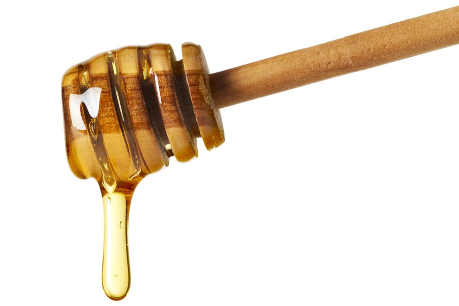 Miel en inglés Traductor de español a inglés