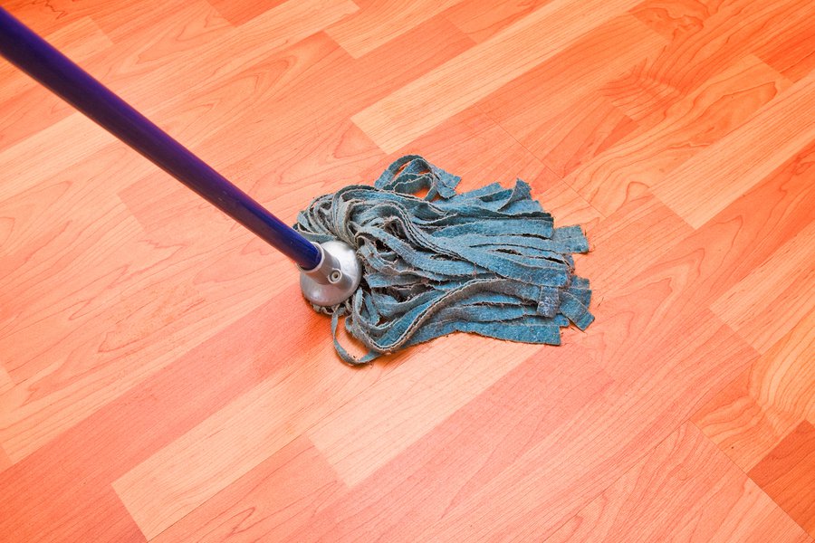 Trapeador Spanish to English Translation