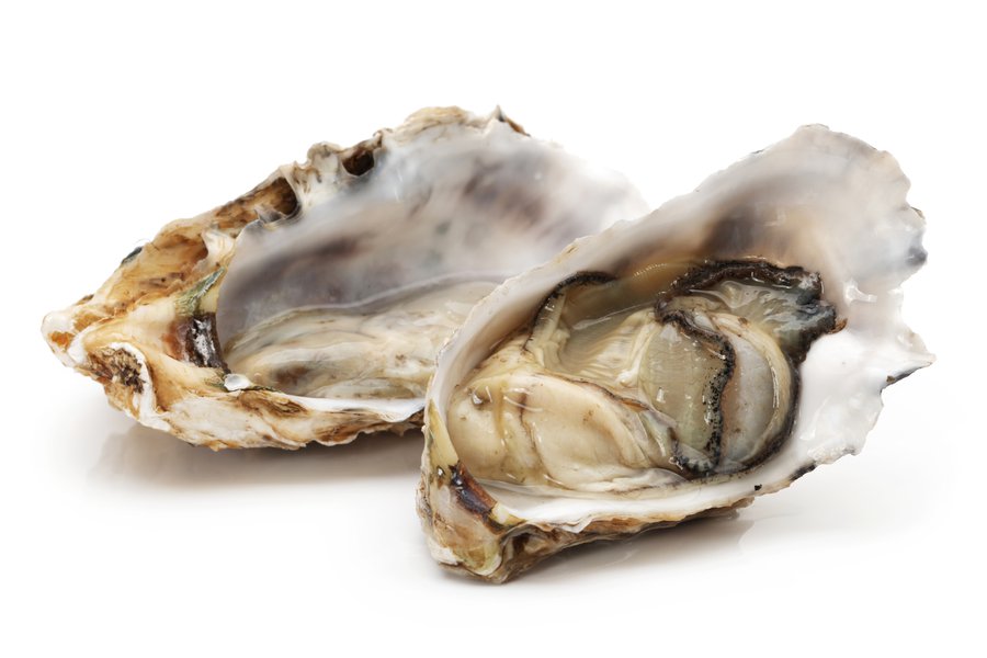 Ostra | Spanish to English Translation - SpanishDictionary.com