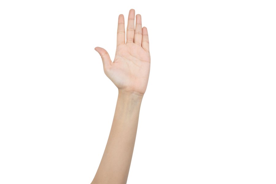 Raise your hand in Spanish English to Spanish Translation