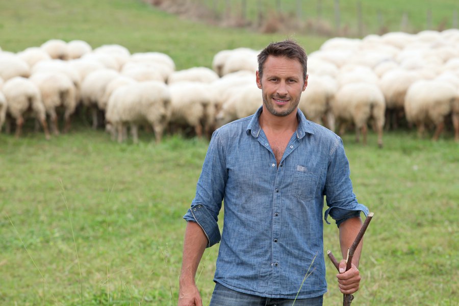 Paswor en inglés Traductor de español a inglés