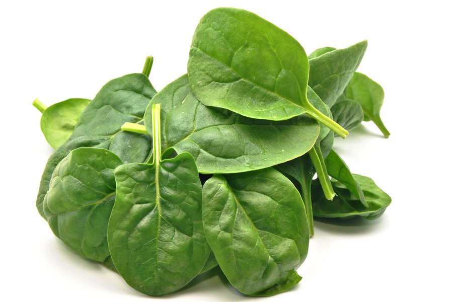 Spinach in Spanish English to Spanish Translation