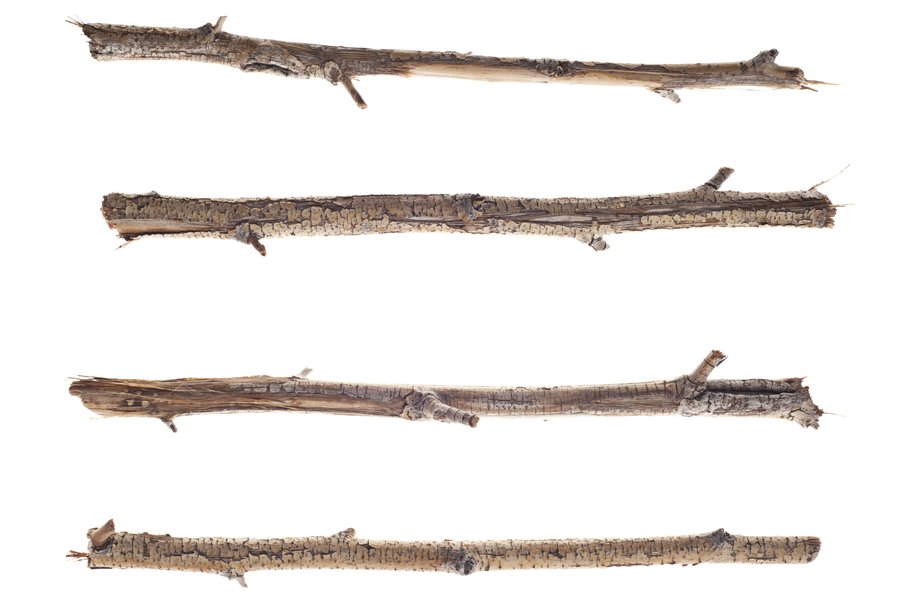 Stick in Spanish English to Spanish Translation SpanishDictionary com