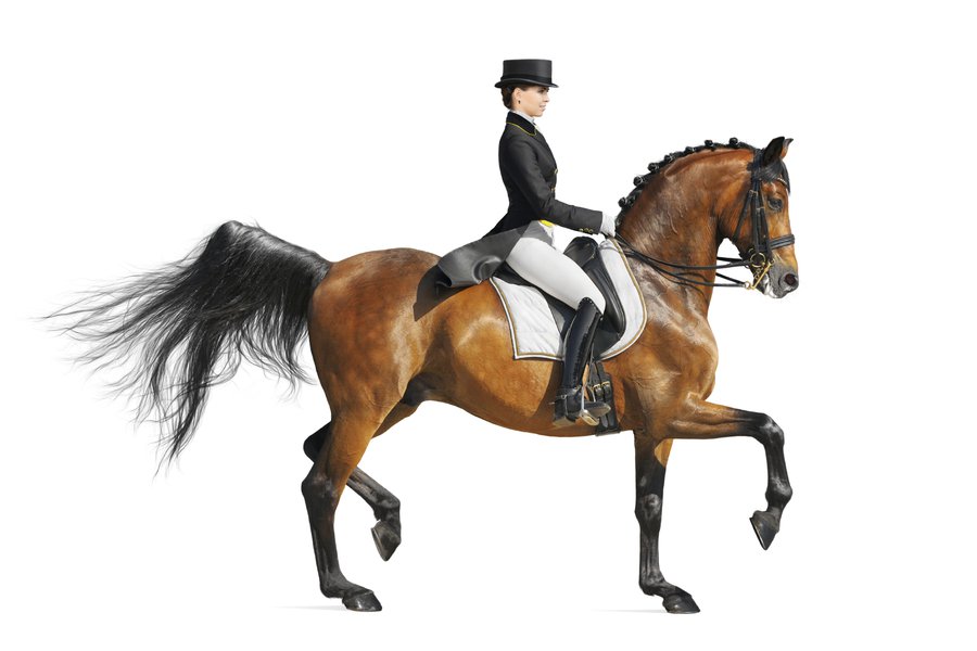 Ride In Spanish Slang at Eileen Seeger blog
