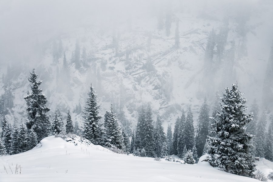 Nivara Spanish to English Translation