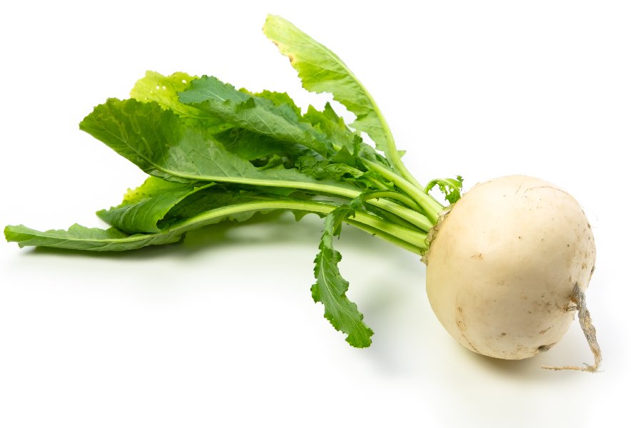 Turnips in Spanish English to Spanish Translation