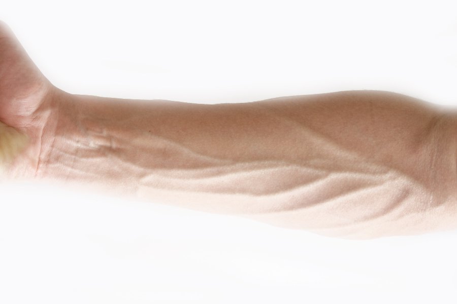 Vein in Spanish English to Spanish Translation