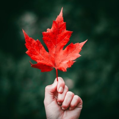 la hoja