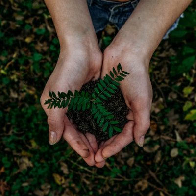 el medioambiente