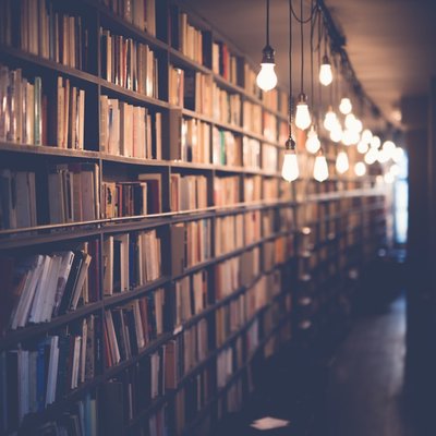 la bibliothèque
